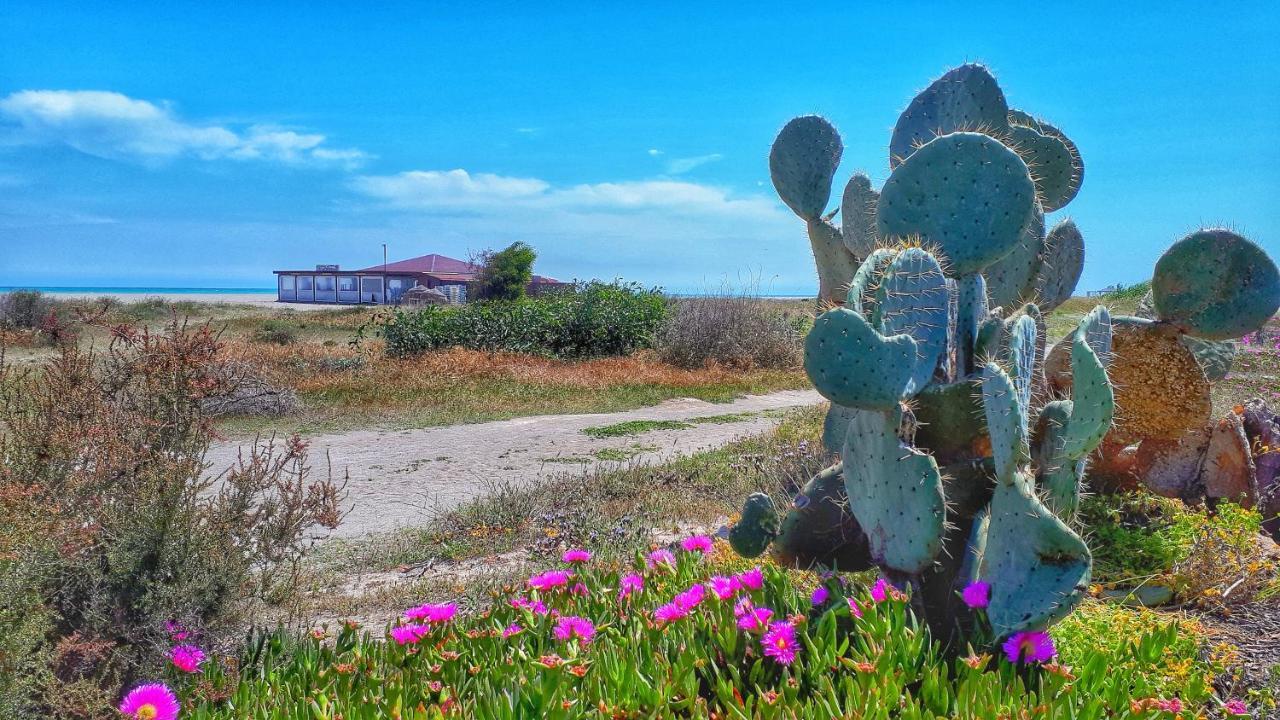 Ferienwohnung Atico Pinar De Garrucha Con Vistas Al Mar-Gran Terraza Exterior foto